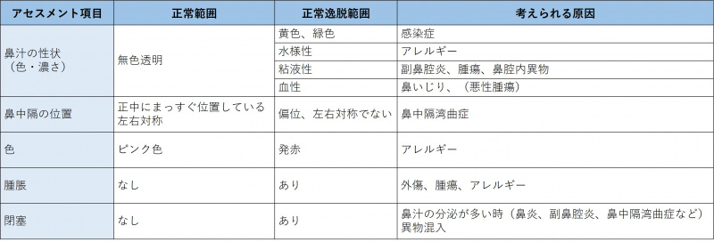 ファイル:表-鼻-視診2-鼻腔内部の観察.jpg