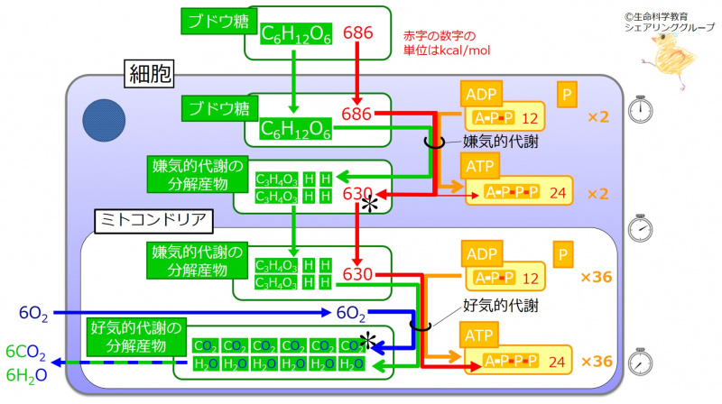 ファイル:04119.jpg