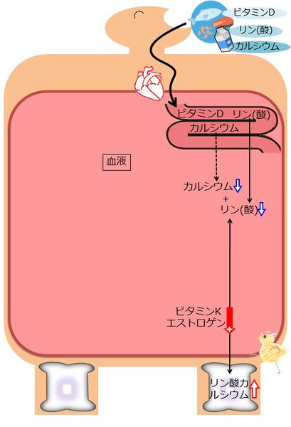 ファイル:04395.jpg