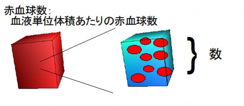 ファイル:赤血球数.jpg