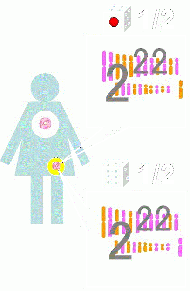 ファイル:01172-wb.gif