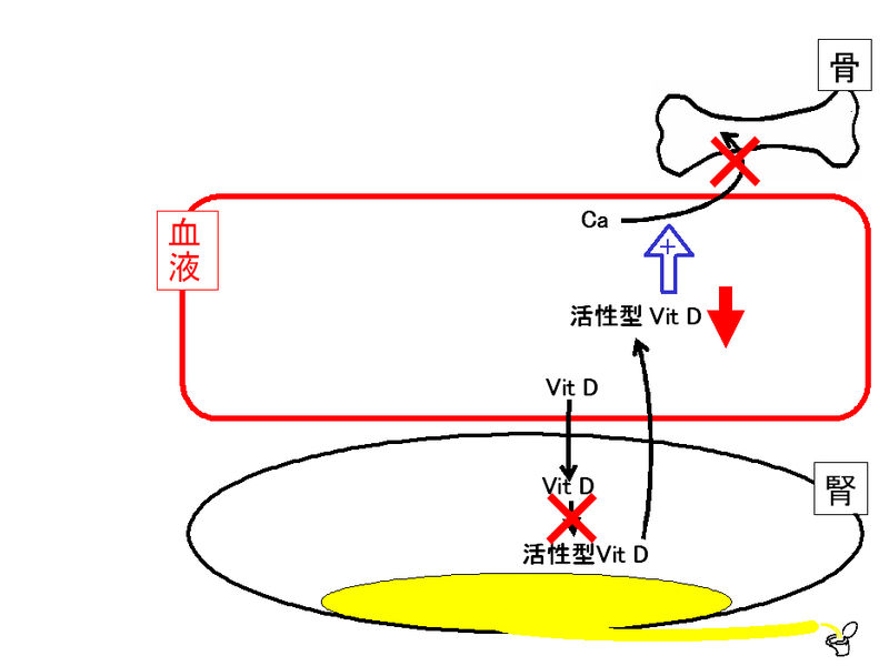 ファイル:01342.jpg