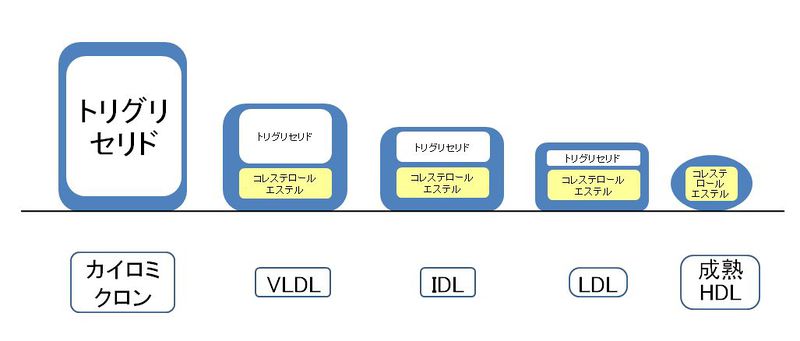 ファイル:02488.jpg