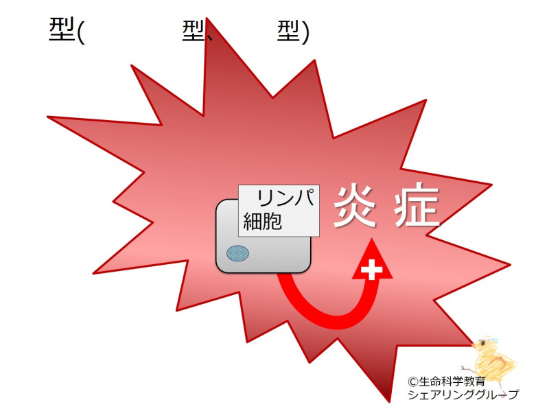 ファイル:04282-wb.jpg