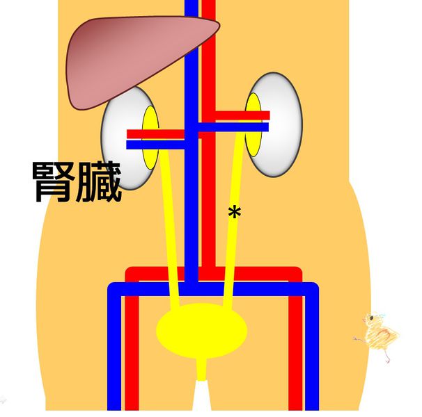 ファイル:04349.jpg