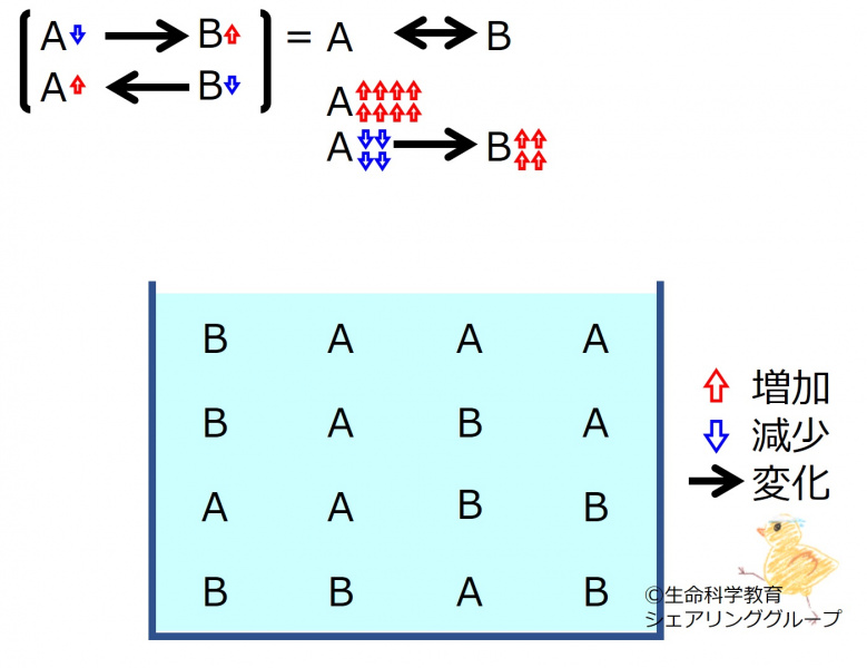 ファイル:ChemicalEquilibriumChangesByIncInMolA-3.jpg