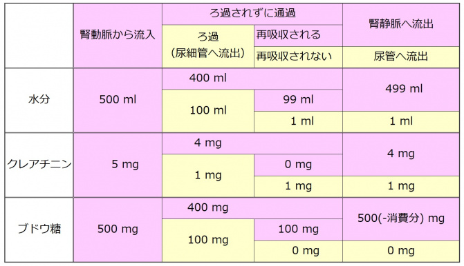 Nephron summary table.jpg