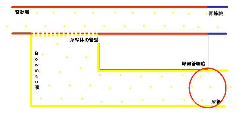 ファイル:00290.jpg