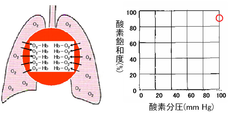 ファイル:00353.jpg