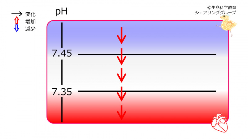 ファイル:00646-wb.jpg