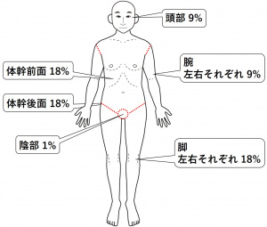 図-皮膚爪-視診1-9の法則成人の場合.jpg