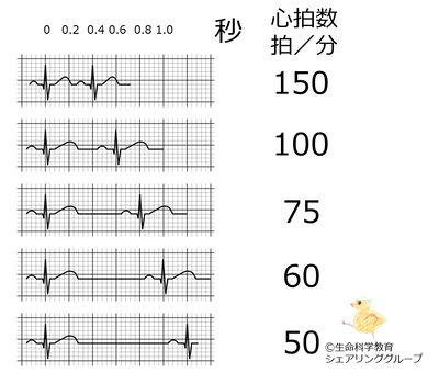 心拍数測り方.jpg