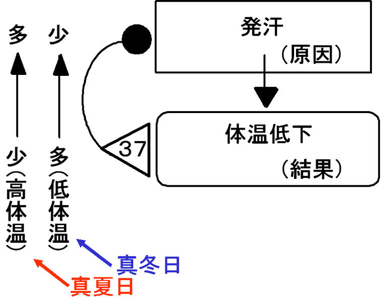 ファイル:00303.jpg