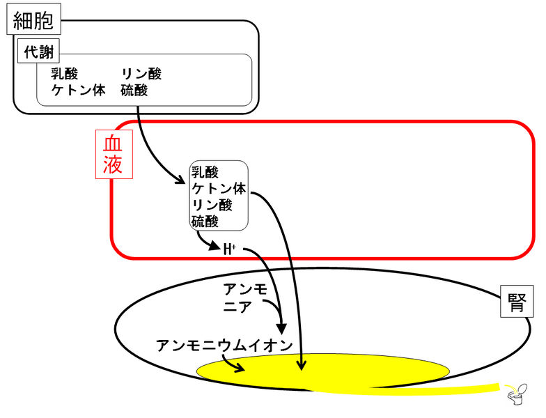 ファイル:01357.jpg