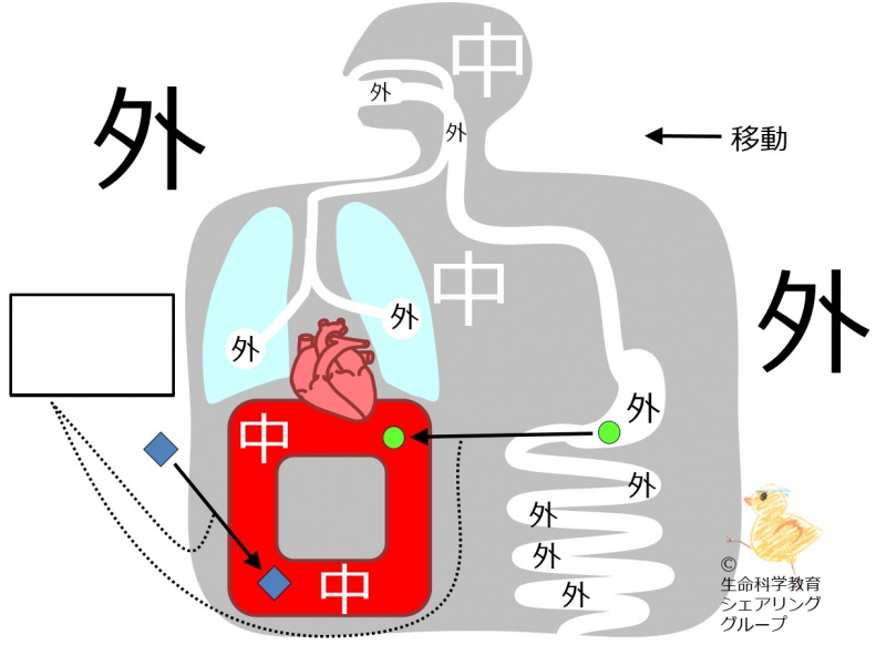 ファイル:04600-wb.jpg