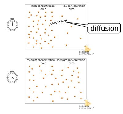 diffusion.jpg