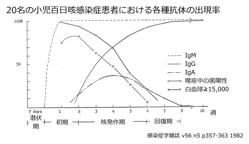 ファイル:InfectionCourseIgMIgG-Jpn.jpg