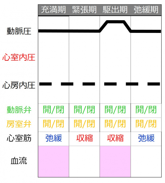 ファイル:弁の動きのまとめ-wb.jpg