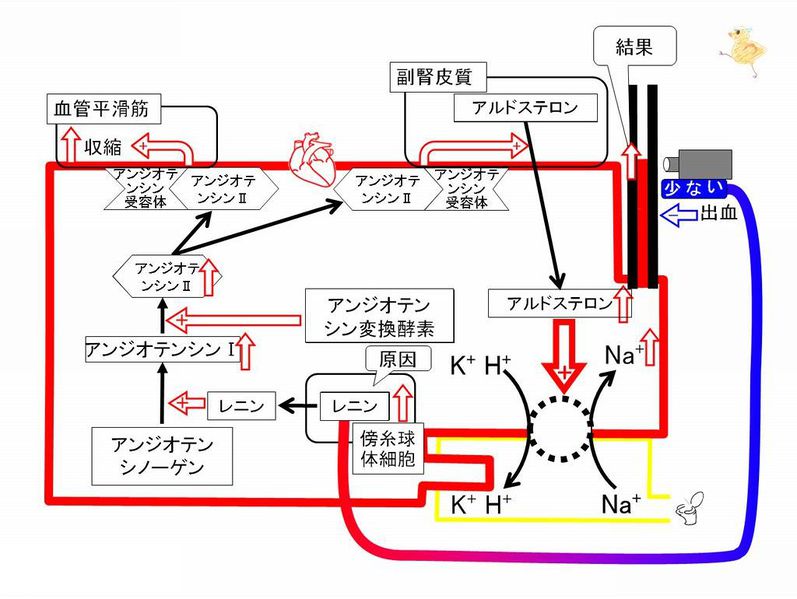 ファイル:02307.jpg