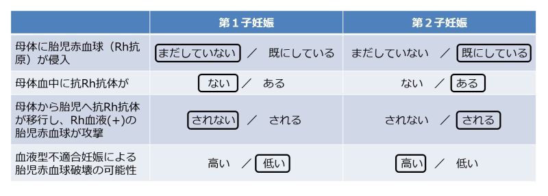 ファイル:04661.jpg