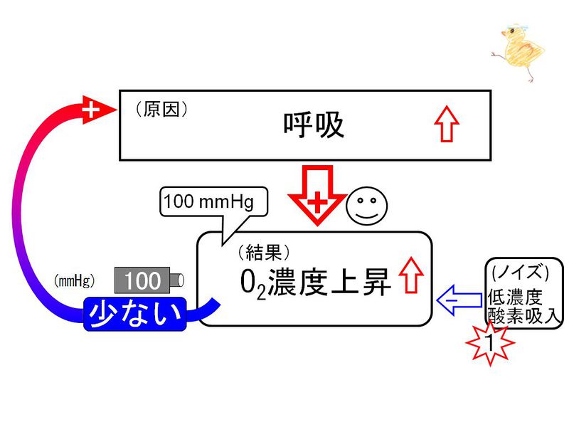 ファイル:02843.jpg