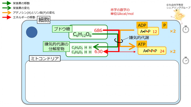 ファイル:04124.jpg