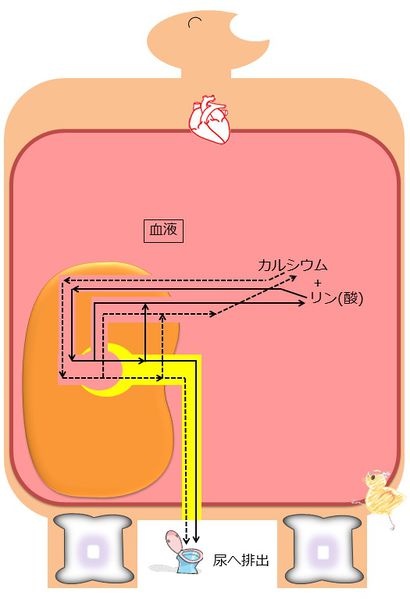 ファイル:04410.jpg