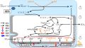 2025年2月14日 (金) 09:59時点における版のサムネイル