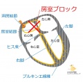 2015年3月4日 (水) 14:22時点における版のサムネイル