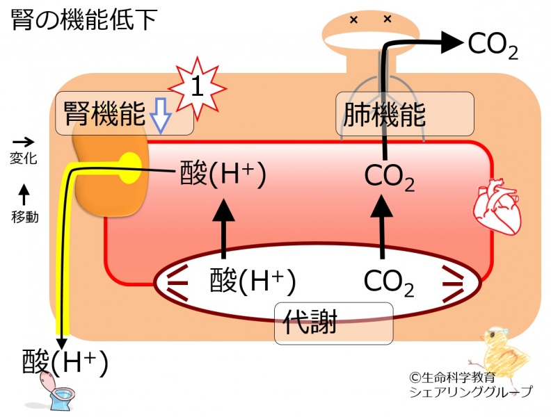 ファイル:04380-wb.jpg
