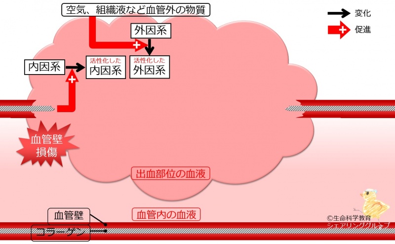 ファイル:04607.jpg