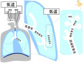 2015年3月20日 (金) 10:05時点における版のサムネイル