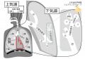 2021年4月6日 (火) 08:50時点における版のサムネイル