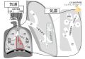 2021年4月6日 (火) 09:04時点における版のサムネイル