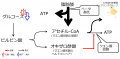 2018年2月16日 (金) 20:17時点における版のサムネイル