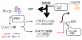 2018年2月16日 (金) 20:40時点における版のサムネイル