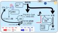 2022年3月7日 (月) 15:12時点における版のサムネイル