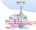 2013年4月1日 (月) 21:01時点における版のサムネイル
