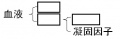 2015年3月13日 (金) 14:51時点における版のサムネイル