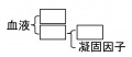 2019年2月13日 (水) 12:19時点における版のサムネイル