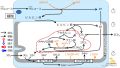 2022年7月1日 (金) 10:49時点における版のサムネイル