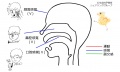 2016年3月10日 (木) 14:38時点における版のサムネイル