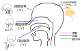 2016年3月16日 (水) 10:30時点における版のサムネイル