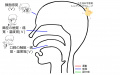 2023年2月27日 (月) 14:16時点における版のサムネイル