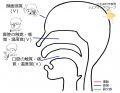 2023年2月27日 (月) 14:45時点における版のサムネイル