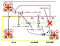 2011年4月7日 (木) 23:12時点における版のサムネイル