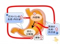 2013年4月3日 (水) 16:27時点における版のサムネイル