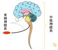 2017年9月30日 (土) 21:20時点における版のサムネイル