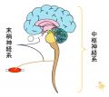 2024年1月18日 (木) 07:29時点における版のサムネイル