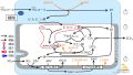 2022年7月1日 (金) 11:57時点における版のサムネイル